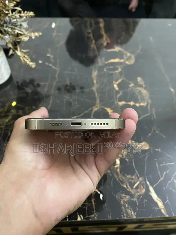 Apple iPhone 14 Pro Max Gold Edition Smartphone