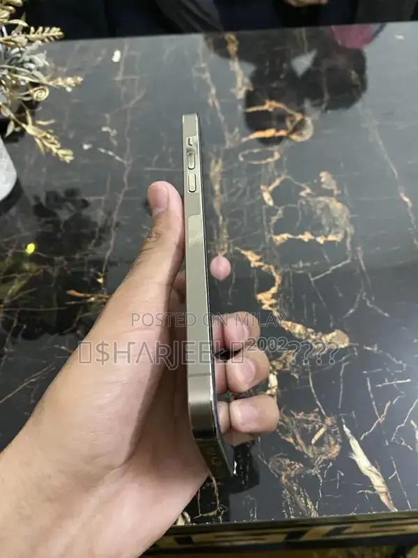 Apple iPhone 14 Pro Max Gold Edition Smartphone