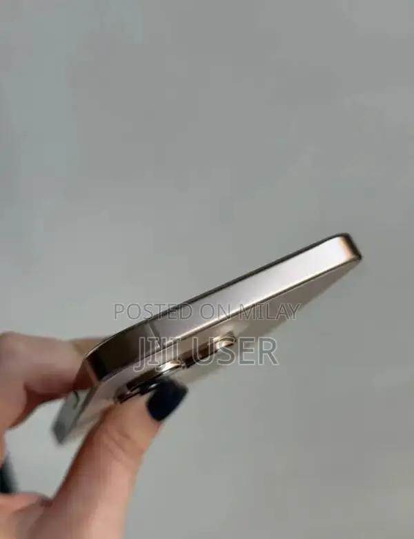 Apple iPhone Pro Max - High-Performance Smartphone