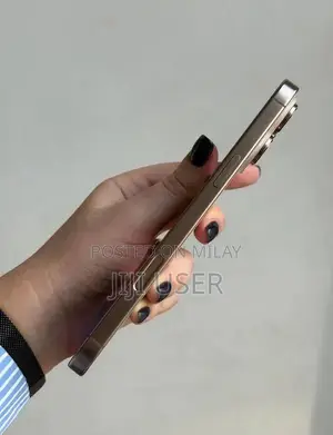 Apple iPhone Pro Max - High-Performance Smartphone