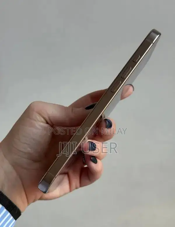 Apple iPhone Pro Max - High-Performance Smartphone