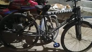 Photo - Used Bicycle - Well Maintained, Low Mileage