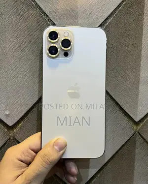 Premium Apple iPhone 12 Pro Max 256GB Smartphone