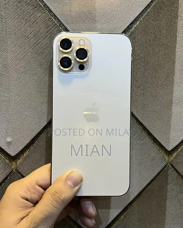 Premium Apple iPhone 12 Pro Max 256GB Smartphone