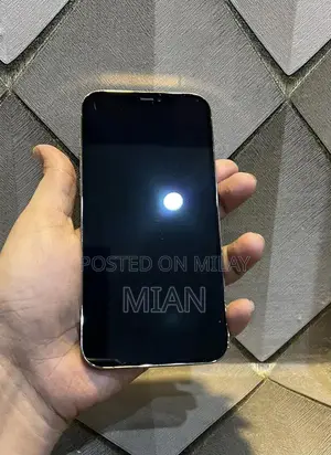 Premium Apple iPhone 12 Pro Max 256GB Smartphone