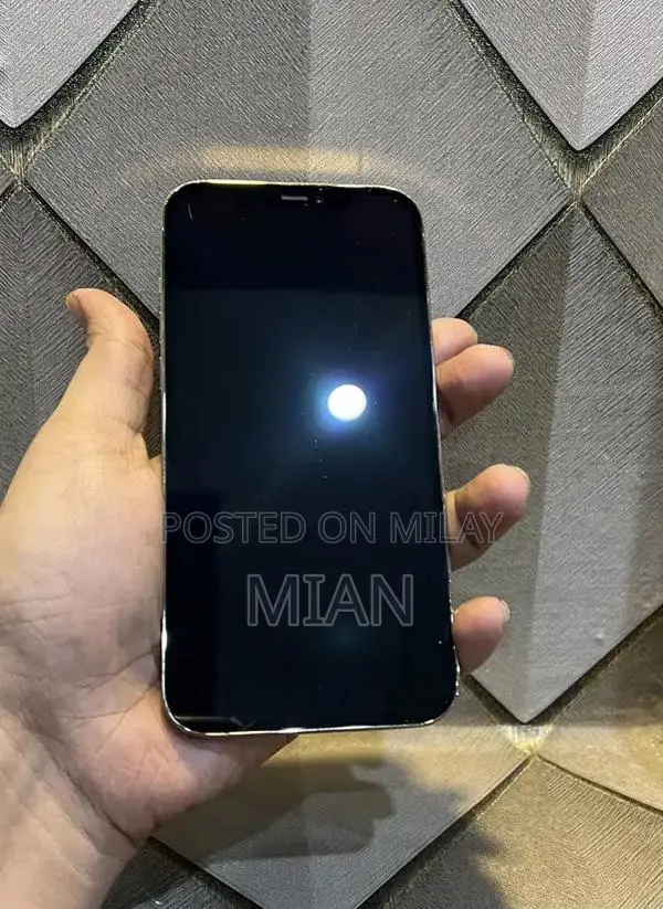 Premium Apple iPhone 12 Pro Max 256GB Smartphone