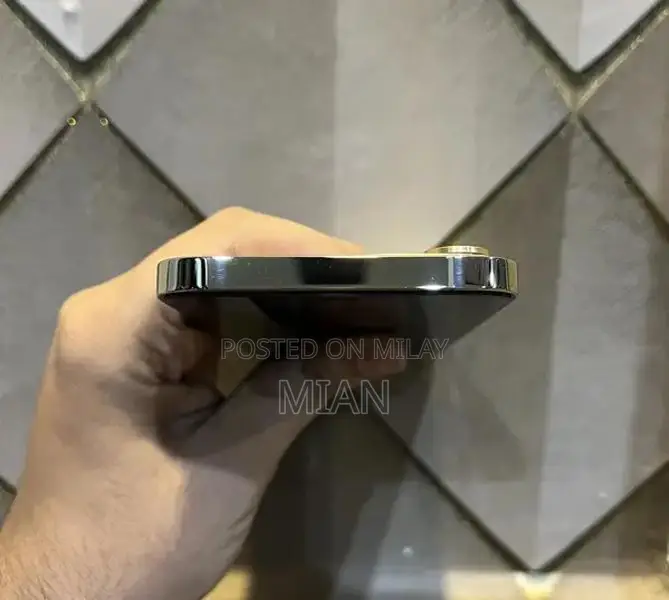 Premium Apple iPhone 12 Pro Max 256GB Smartphone