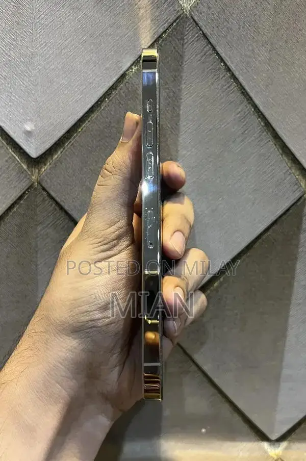 Premium Apple iPhone 12 Pro Max 256GB Smartphone