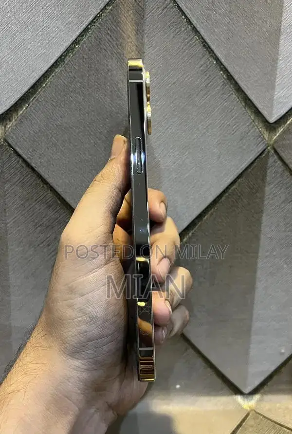 Premium Apple iPhone 12 Pro Max 256GB Smartphone