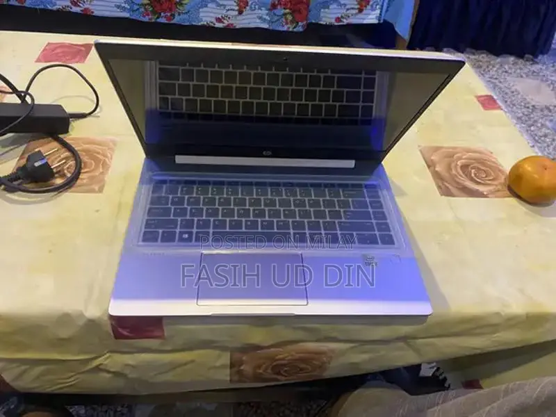 HP ProBook 440 G7 Business Laptop 10th Gen Core i7