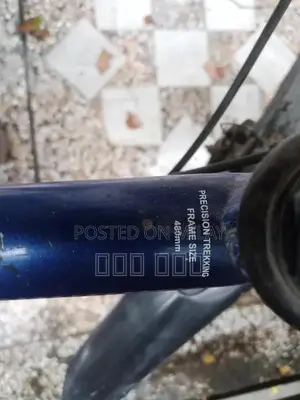 High-Performance Bicycle for Urban and Trail Riding