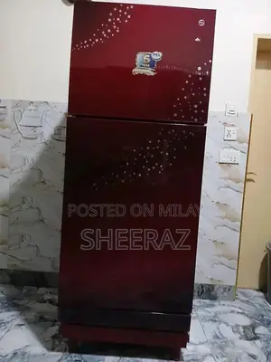 Photo - Large Pel Refrigerator - Excellent Cooling Performance