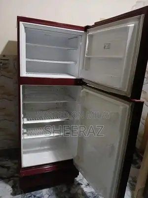Large Pel Refrigerator - Excellent Cooling Performance