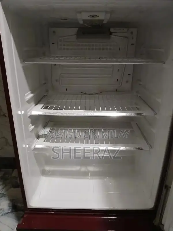 Large Pel Refrigerator - Excellent Cooling Performance