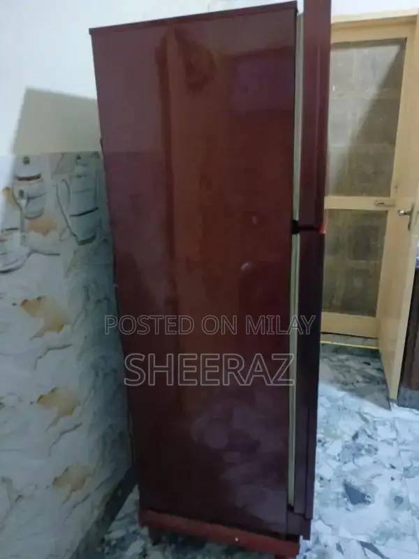 Large Pel Refrigerator - Excellent Cooling Performance