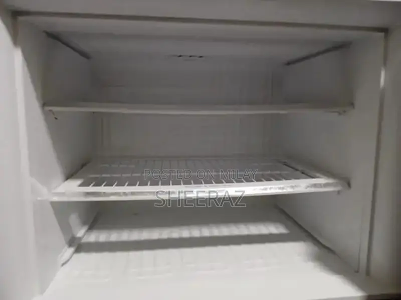 Large Pel Refrigerator - Excellent Cooling Performance