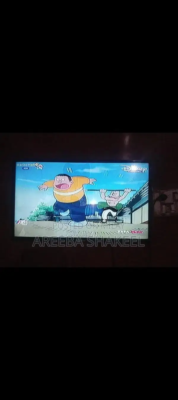 32-Inch LED Display Television with Versatile Connectivity