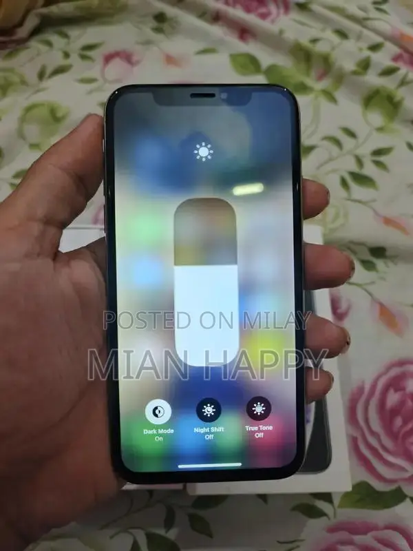 Factory Unlocked Smartphone 256GB Storage