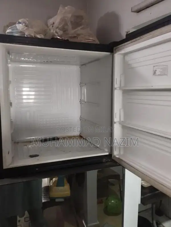PEL Full Size Glass Door Refrigerator