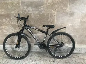 Photo - Phoenix 10-Speed Sports Bicycle with Disc Brakes