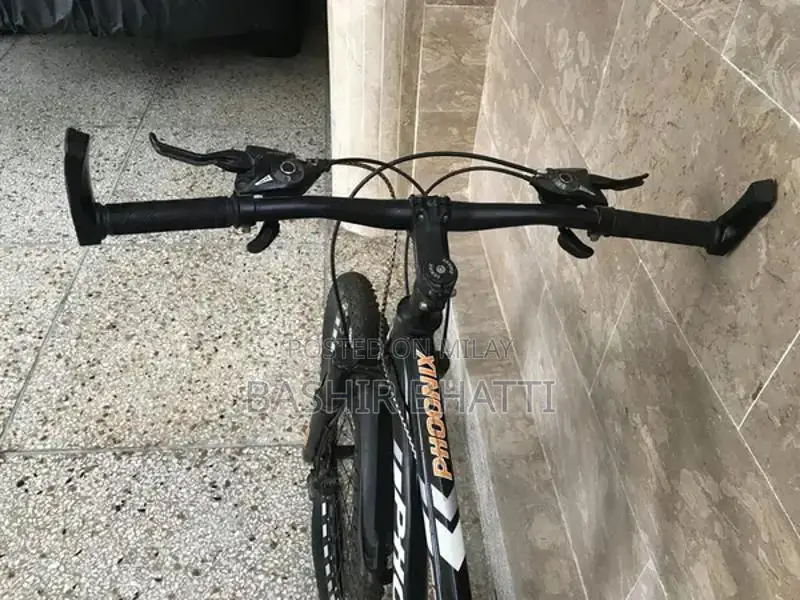 Phoenix 10-Speed Sports Bicycle with Disc Brakes