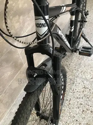 Phoenix 10-Speed Sports Bicycle with Disc Brakes