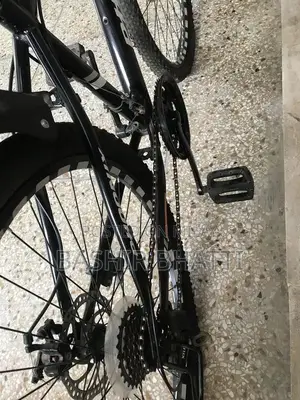 Phoenix 10-Speed Sports Bicycle with Disc Brakes