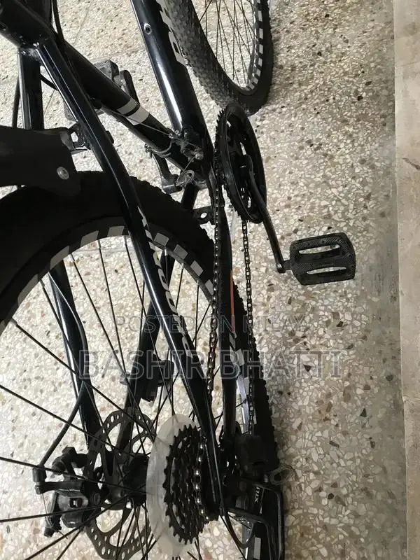 Phoenix 10-Speed Sports Bicycle with Disc Brakes