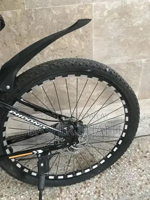 Phoenix 10-Speed Sports Bicycle with Disc Brakes