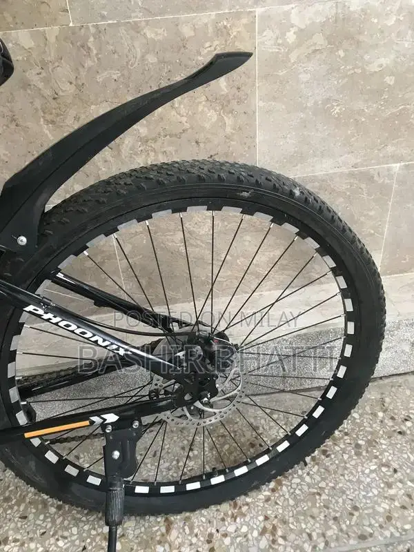 Phoenix 10-Speed Sports Bicycle with Disc Brakes