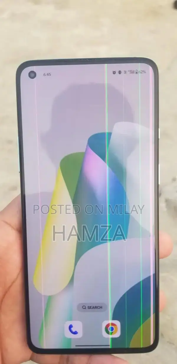 High-Performance Smartphone with 12GB RAM and 256GB Storage