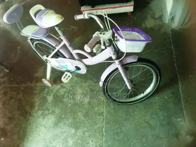 Imported Cycle for Girls 8-12 Years