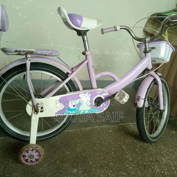 Imported Cycle for Girls 8-12 Years