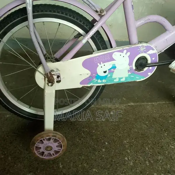 Imported Cycle for Girls 8-12 Years