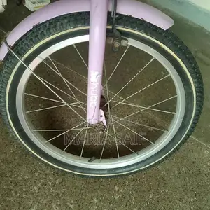 Imported Cycle for Girls 8-12 Years