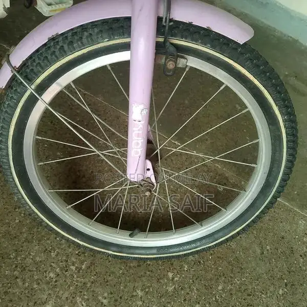 Imported Cycle for Girls 8-12 Years