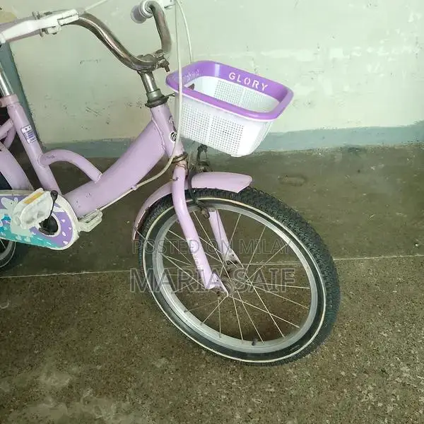 Imported Cycle for Girls 8-12 Years