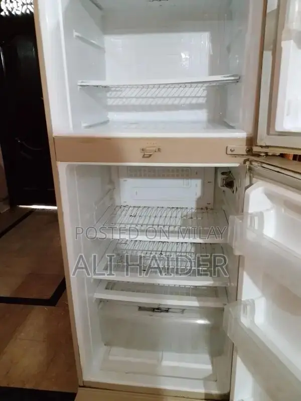 Two-Door Refrigerator - Spacious Kitchen Appliance