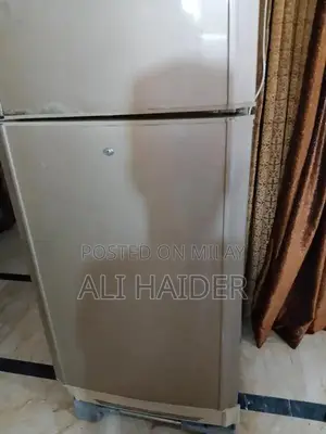 Two-Door Refrigerator - Spacious Kitchen Appliance
