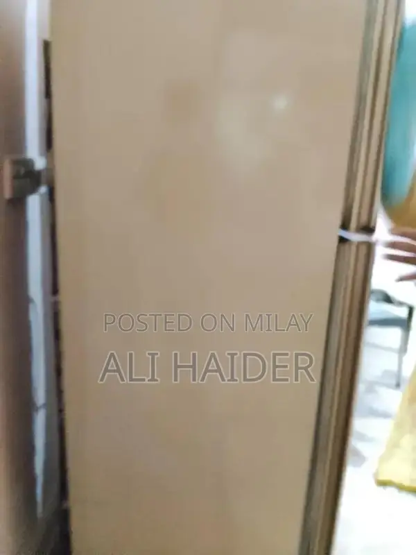 Two-Door Refrigerator - Spacious Kitchen Appliance