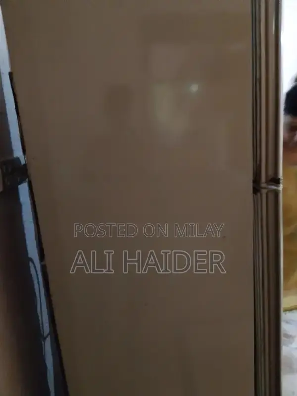 Two-Door Refrigerator - Spacious Kitchen Appliance