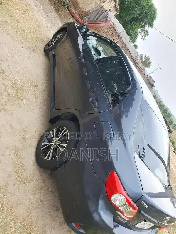 Lush Condition Home Use Digital Chat Bonet with Side Spray