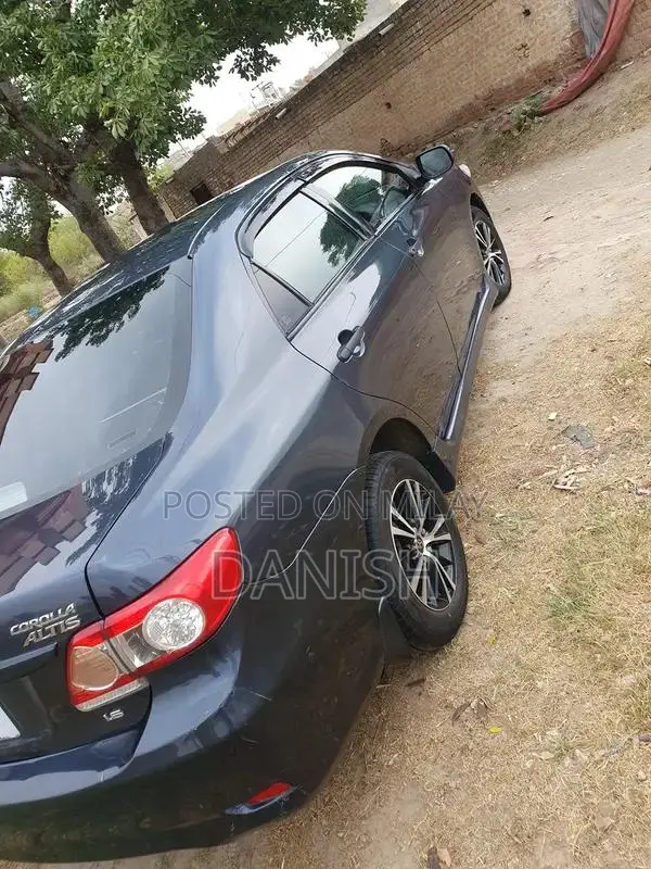 Lush Condition Home Use Digital Chat Bonet with Side Spray