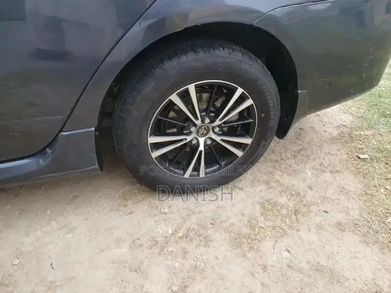 Lush Condition Home Use Digital Chat Bonet with Side Spray