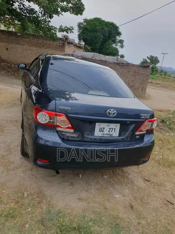 Lush Condition Home Use Digital Chat Bonet with Side Spray