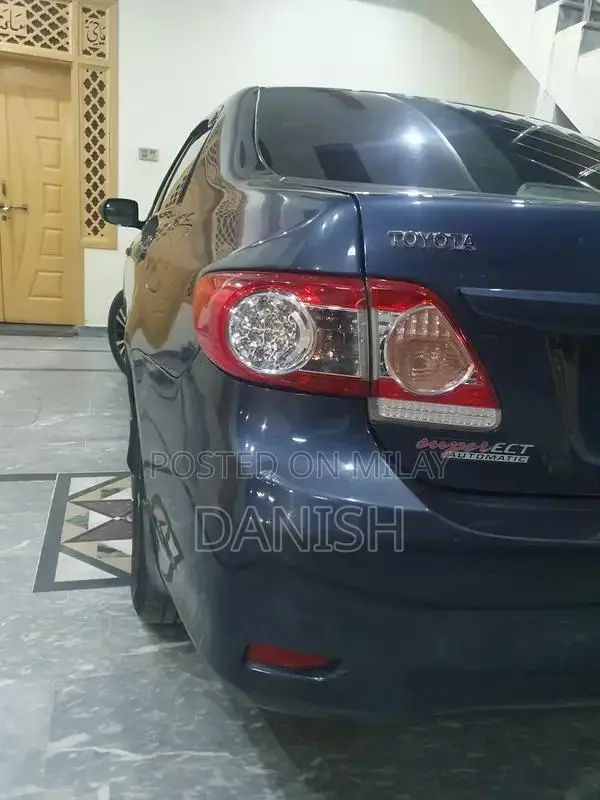 Lush Condition Home Use Digital Chat Bonet with Side Spray