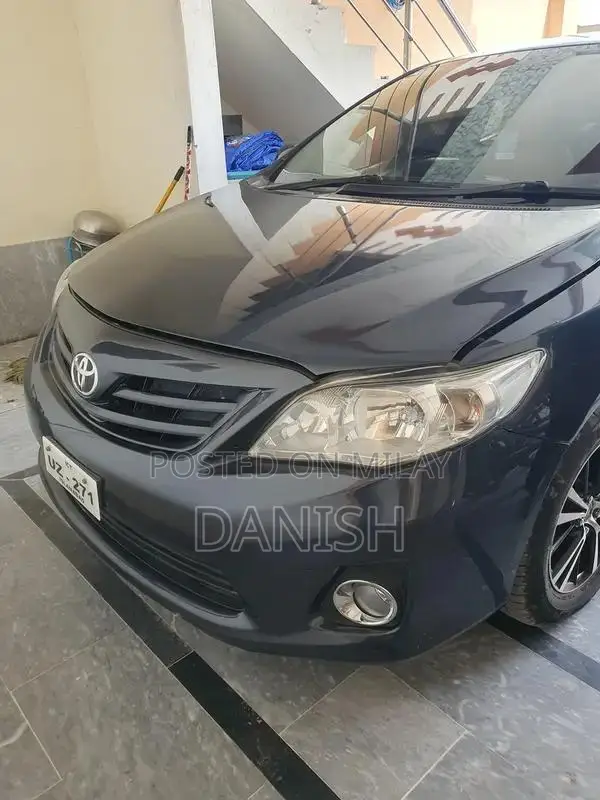 Lush Condition Home Use Digital Chat Bonet with Side Spray