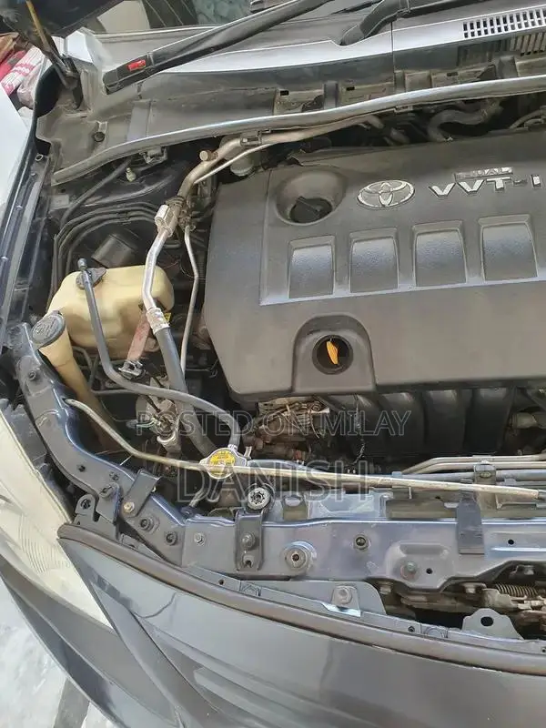 Lush Condition Home Use Digital Chat Bonet with Side Spray