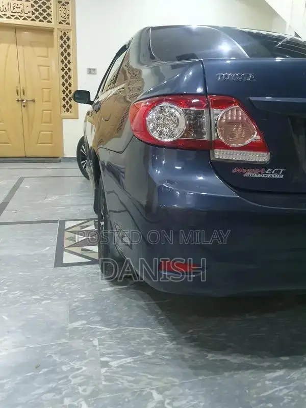 Lush Condition Home Use Digital Chat Bonet with Side Spray