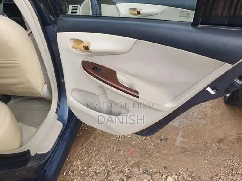 Lush Condition Home Use Digital Chat Bonet with Side Spray